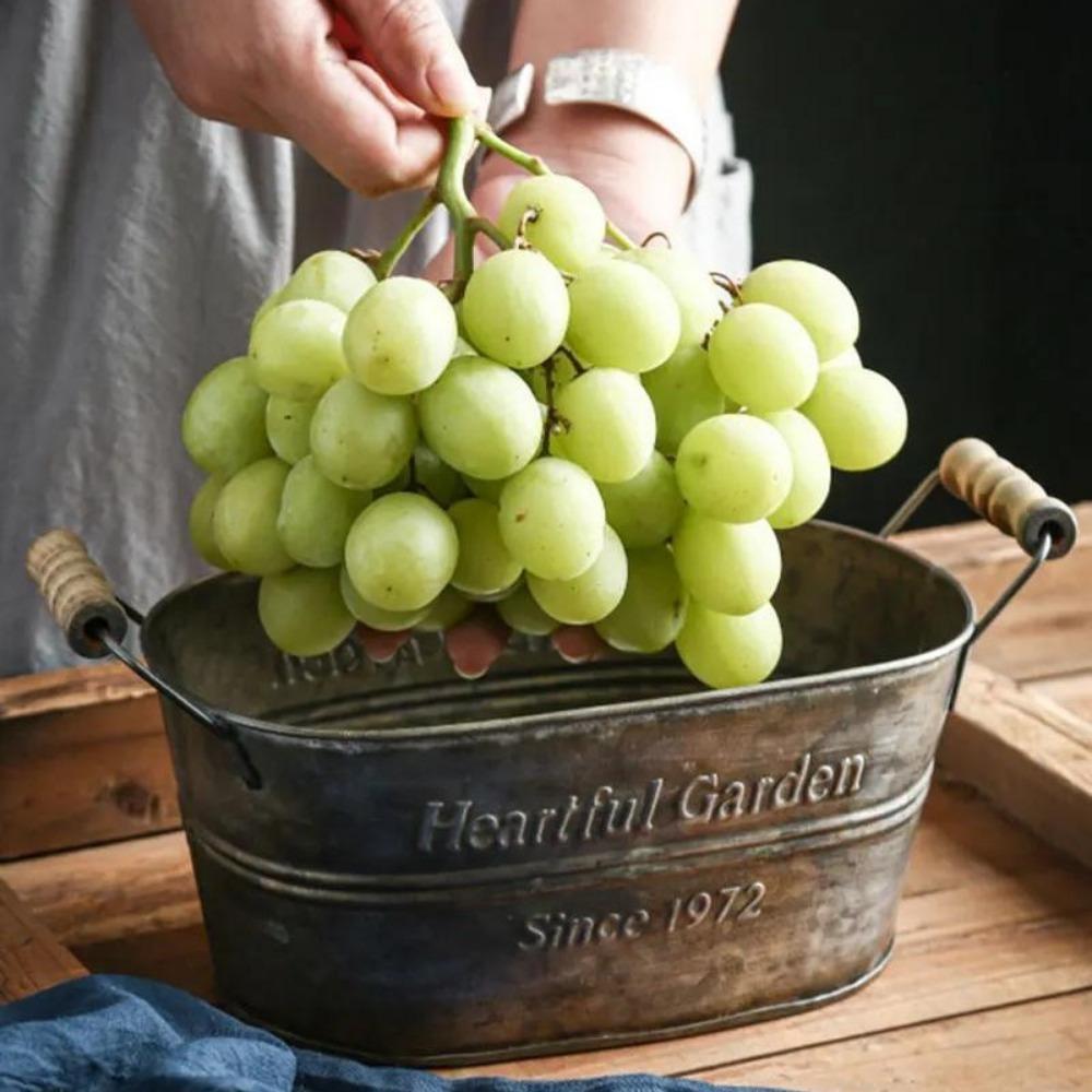 1PC Metal Storage Basket Iron Vintage Storage Box Flower Pot Flower Baking Basket Storage Decor Fruit Basket Metal Storage Basket S
1PC Metal Storage Basket Iron Vintage Storage Box Flower Pot Flower Baking Basket Storage Decor Fruit Basket Metal Storage Basket S