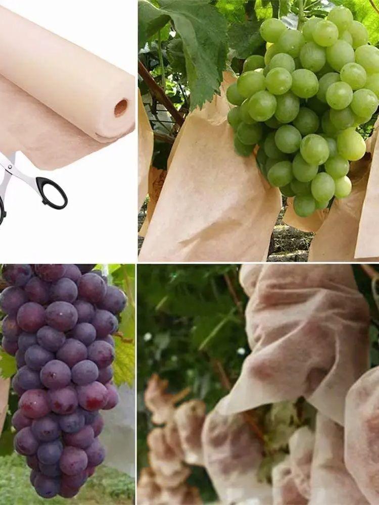5 ft. x 25 ft. Floating Row Covers Plant Covers Freeze Protection, Row Covers for Vegetables білий
5 ft. x 25 ft. Floating Row Covers Plant Covers Freeze Protection, Row Covers for Vegetables білий