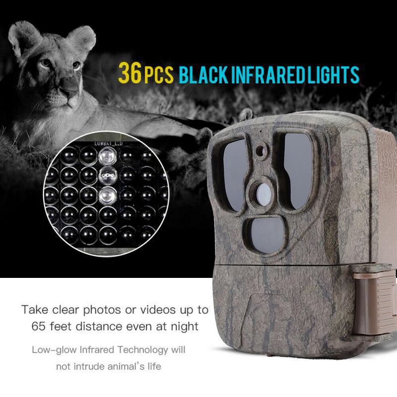 20mp 1080p Охотничья камера S300 Дикое наблюдение Wildcamera Ночная версия Камеры для разведки дикой природы Ловушки Лесная камера
20mp 1080p Охотничья камера S300 Дикое наблюдение Wildcamera Ночная версия Камеры для разведки дикой природы Ловушки Лесная камера