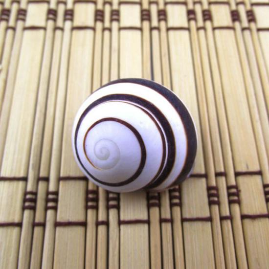 Black Bread Snail Shells 2.5-3cm: Steamed Bun Snail Base for Hermit Crabs, Fish Tank Decor, Wedding Decor, Small Seashell Replacement
Black Bread Snail Shells 2.5-3cm: Steamed Bun Snail Base for Hermit Crabs, Fish Tank Decor, Wedding Decor, Small Seashell Replacement