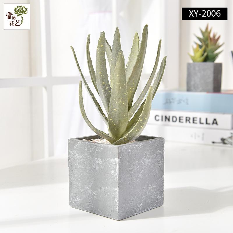Simulation home decoration balcony floor ornament artificial plant simulation cactus potted plant
Simulation home decoration balcony floor ornament artificial plant simulation cactus potted plant
