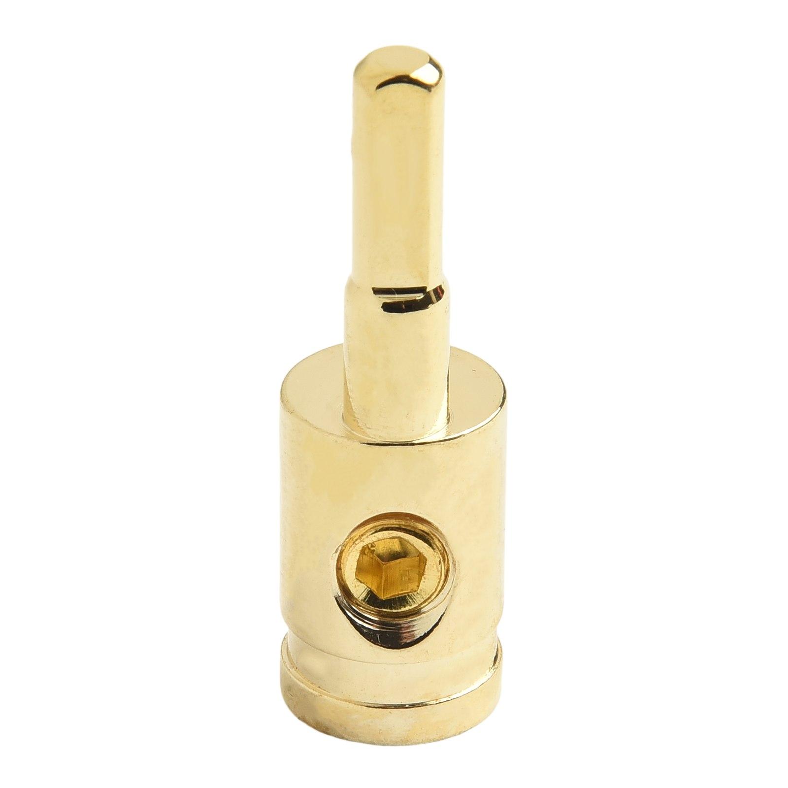 Reducer Power Wire 4 Gauge Gold High Quality Reliability Silver Zinc Alloy Output 4 Gauge Solid Hardened Pin New
Reducer Power Wire 4 Gauge Gold High Quality Reliability Silver Zinc Alloy Output 4 Gauge Solid Hardened Pin New