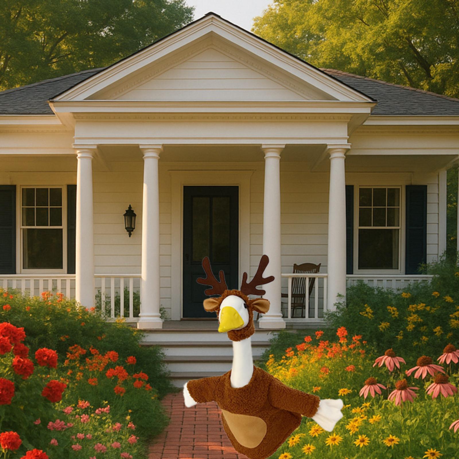 Porch Costumes, Costumes, Party Quirky Courtyard Decorations One Size
Porch Costumes, Costumes, Party Quirky Courtyard Decorations One Size