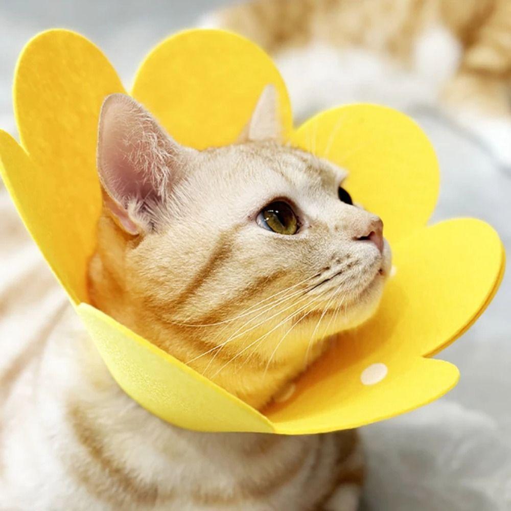 Adjustable Cat Elizabethan Collar Anti-Bite Pet Accessories Portable Dog Protective Collar Dog
Adjustable Cat Elizabethan Collar Anti-Bite Pet Accessories Portable Dog Protective Collar Dog