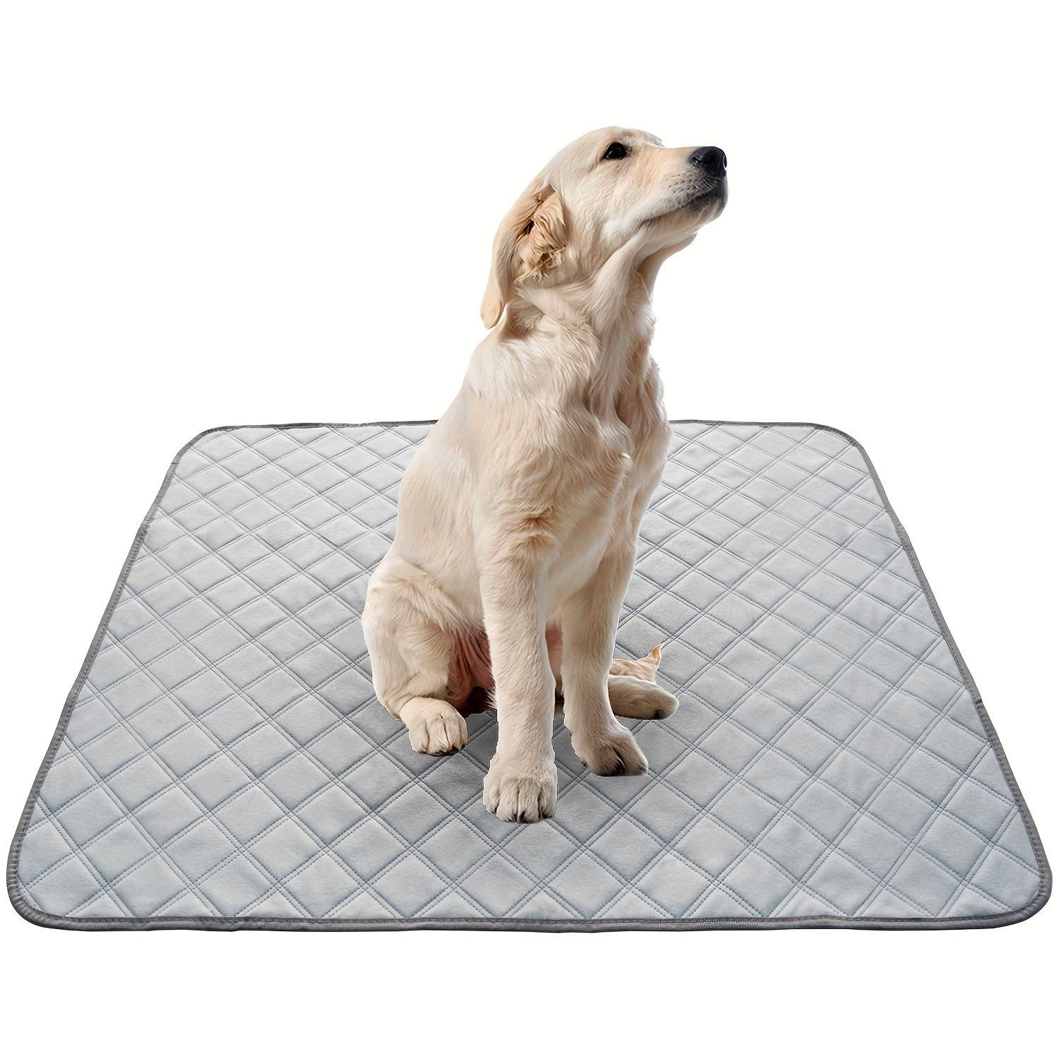 1pcs Dog Pee Pad Reusable Washable Cat Urine Mat Car Seat Floor Sofa Four Layer Waterproof Puppy Cat Training Supplies Multi Purpose Pet Cushion 60*45cm 1pcs світло-сірий колір
1pcs Dog Pee Pad Reusable Washable Cat Urine Mat Car Seat Floor Sofa Four Layer Waterproof Puppy Cat Training Supplies Multi Purpose Pet Cushion 60*45cm 1pcs світло-сірий колір