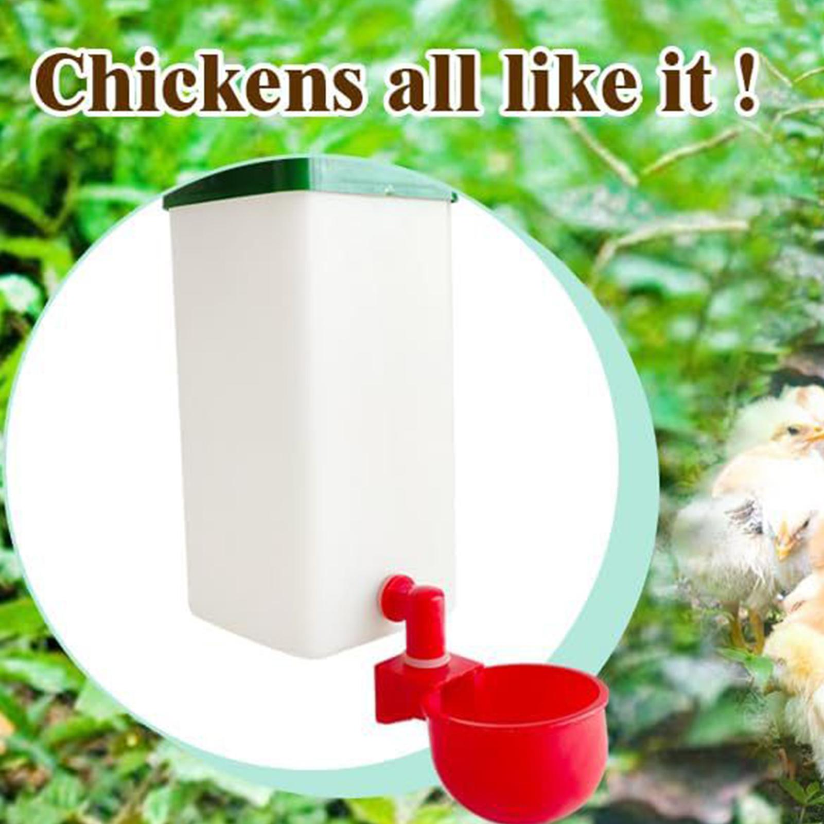 Pet Water Dispenser 1000ml Automatic Bird Feeder for Cage Large Capacity Drinking Fountain Cage Accessories for Guinea Outdoor CN
Pet Water Dispenser 1000ml Automatic Bird Feeder for Cage Large Capacity Drinking Fountain Cage Accessories for Guinea Outdoor CN