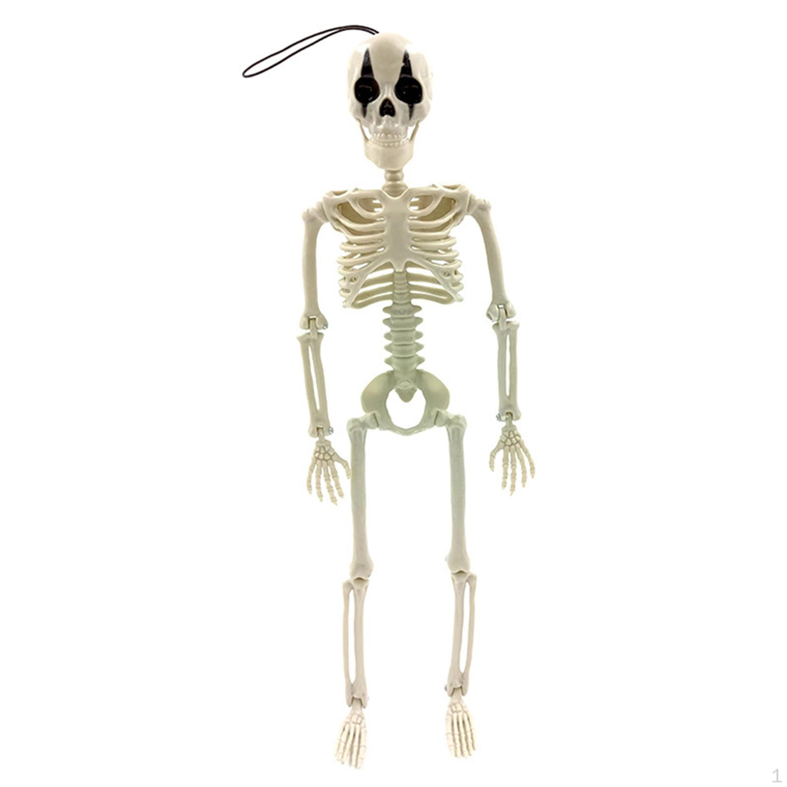 Halloween Hanging Skeleton, Movable Ornaments Clown Skeleton Party Decoration Realistic Red Nose
Halloween Hanging Skeleton, Movable Ornaments Clown Skeleton Party Decoration Realistic Red Nose