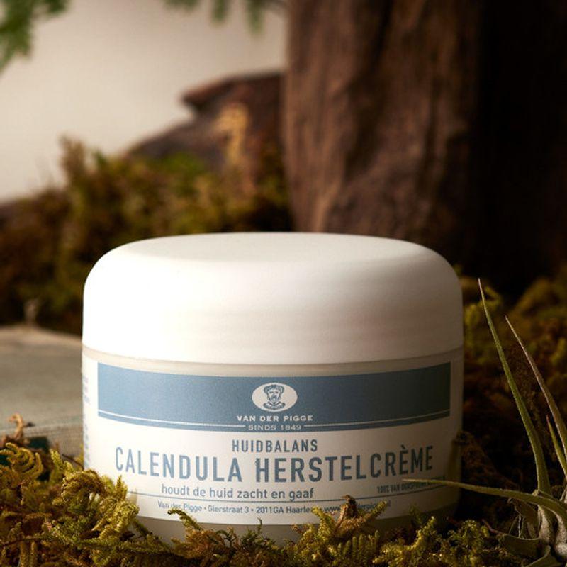 Calendula Hustel Moisture Soothing Cream 110ml
Calendula Hustel Moisture Soothing Cream 110ml