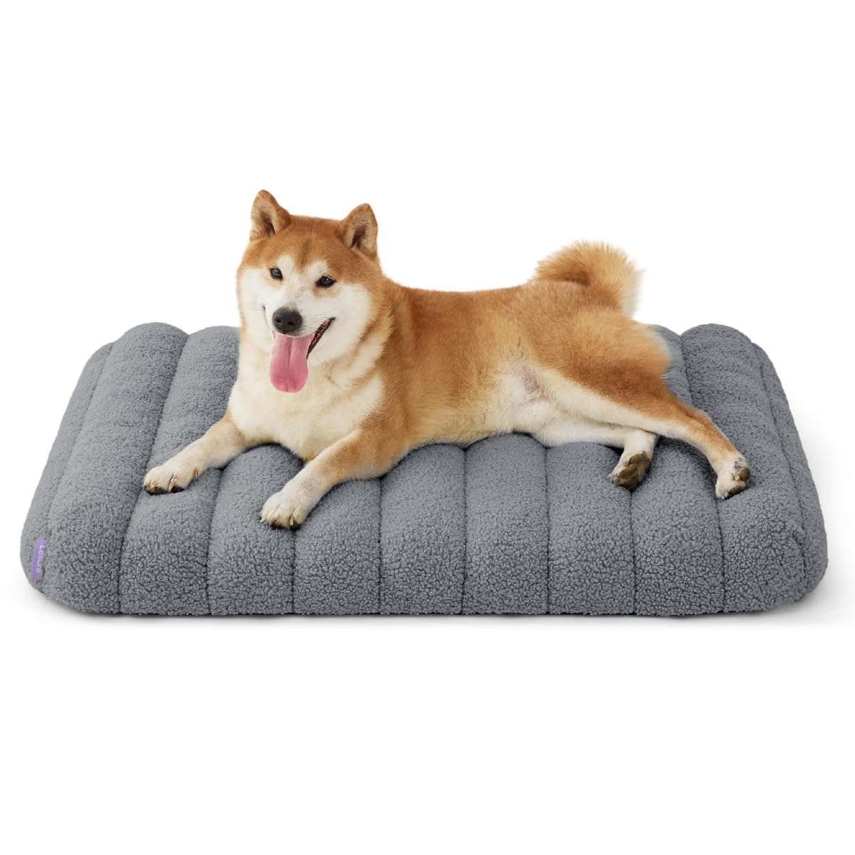 Leure Dog Pet Cat для маленьких собак, домашних животных, с высоким давлением на тело, съемный, легко снимается, для пожилых людей, маленьких и средних, подходит для всего года, милый питомец, кровать, водонепроницаемый, кровать, серый
Leure Dog Pet Cat для маленьких собак, домашних животных, с высоким давлением на тело, съемный, легко снимается, для пожилых людей, маленьких и средних, подходит для всего года, милый питомец, кровать, водонепроницаемый, кровать, серый