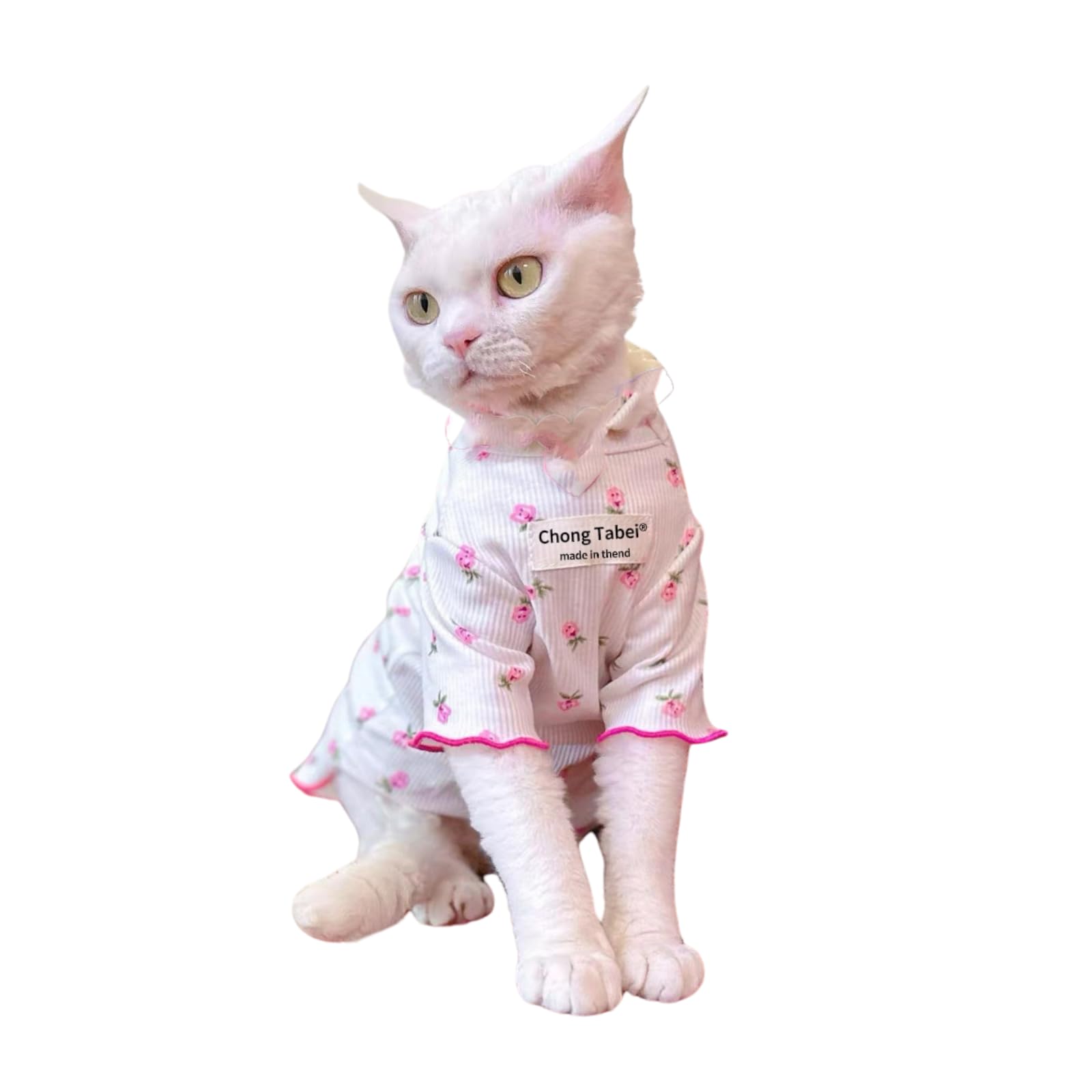 MEIAOJIA Кошка Сфинкс Всесезонная Кошка Кошка Кошка Кошка Кошка Кожа Кошка Солнце Выпадение Волос Цветочный S Одежда, Одежда, Одежда, Пижамы, Одежда, Весенняя/летняя одежда,
MEIAOJIA Кошка Сфинкс Всесезонная Кошка Кошка Кошка Кошка Кошка Кожа Кошка Солнце Выпадение Волос Цветочный S Одежда, Одежда, Одежда, Пижамы, Одежда, Весенняя/летняя одежда,