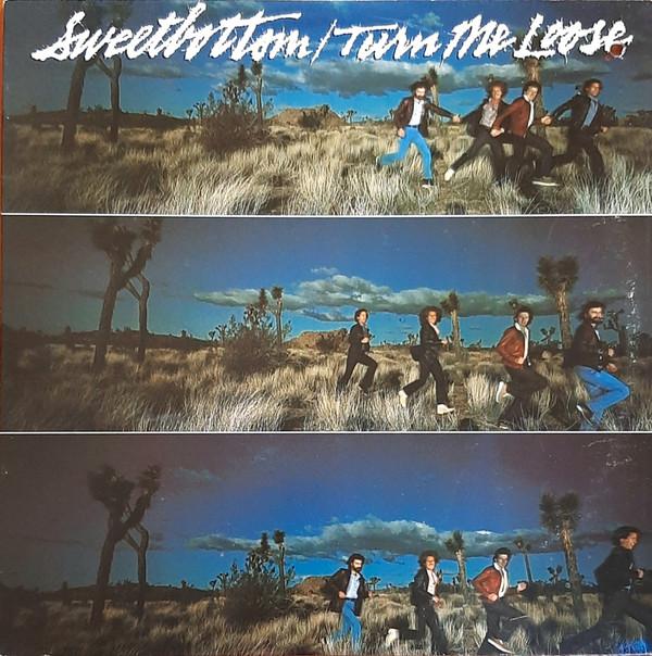 LP Record SWEETBOTTOM Turn Me Loose 6E210 Elektra 1979 US Rock Used
LP Record SWEETBOTTOM Turn Me Loose 6E210 Elektra 1979 US Rock Used