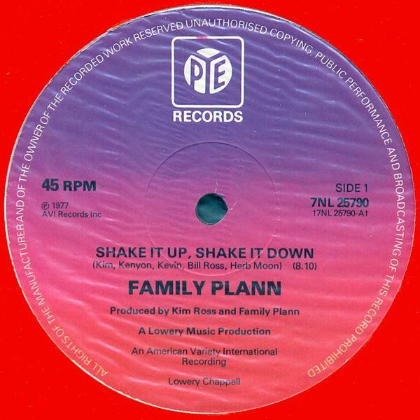 12-дюймовая пластинка FAMILY PLANN - Shake It Up, Shake It Down 7NL25790 Pye Records 1977 UK Soul/Funk б/у
12-дюймовая пластинка FAMILY PLANN - Shake It Up, Shake It Down 7NL25790 Pye Records 1977 UK Soul/Funk б/у