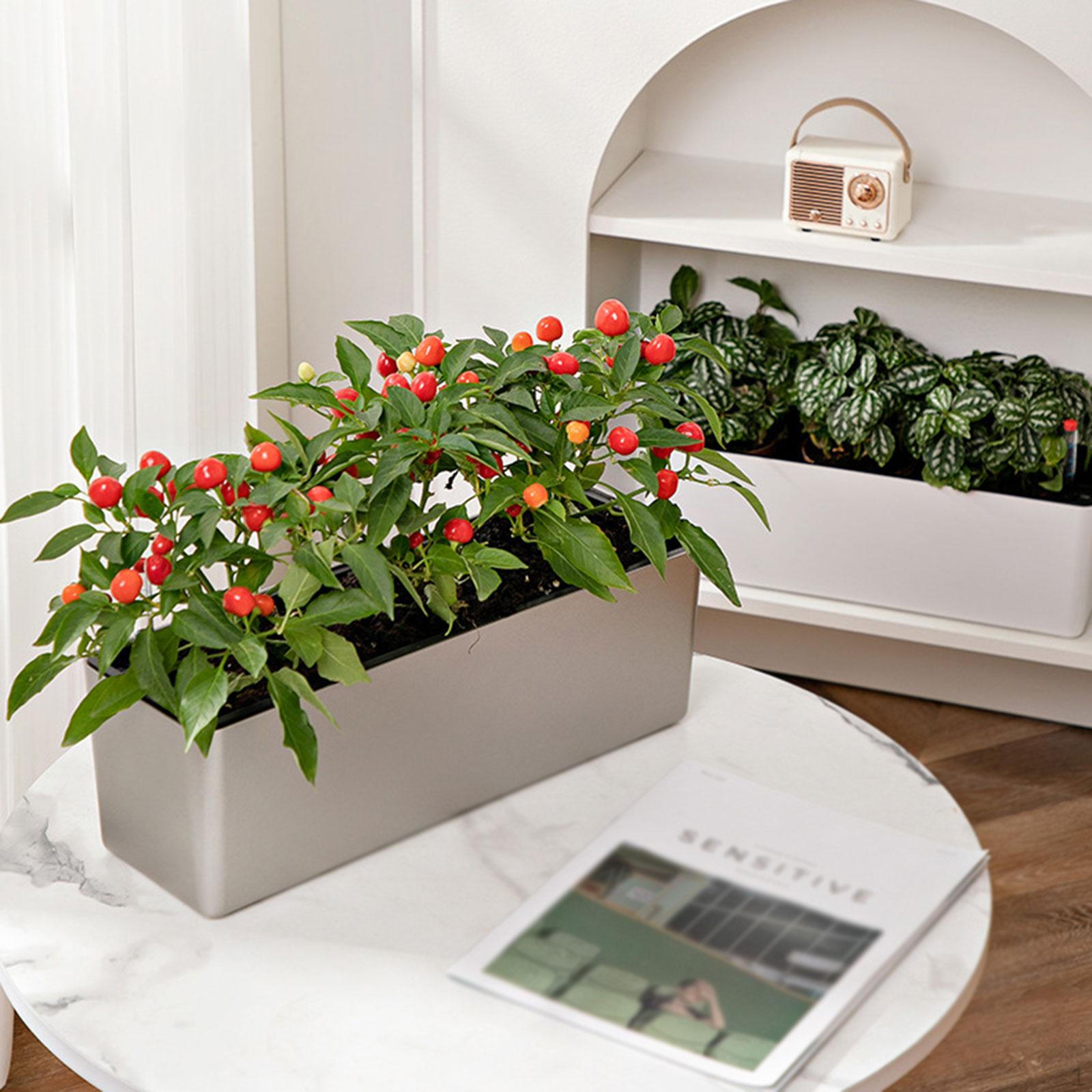 Rectangle Self Watering Planter Easy Maintenance Garden for Home Planting Vegetables/Flowers розового золота
Rectangle Self Watering Planter Easy Maintenance Garden for Home Planting Vegetables/Flowers розового золота
