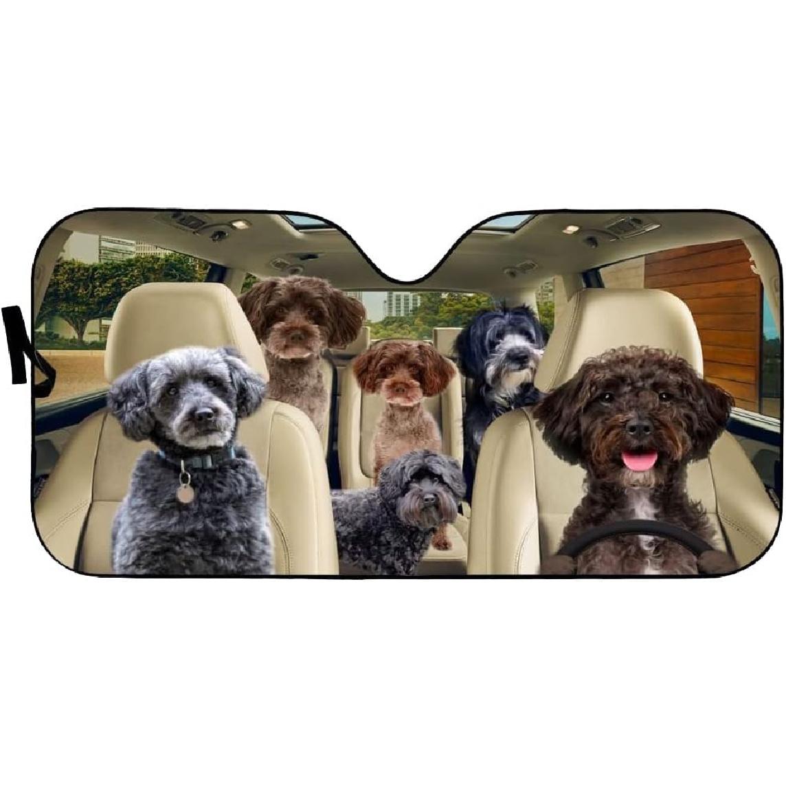 Windshield Sun Shade Schnoodle Car Sun Shade Privacy Blackout Keep Your Vehicle Cool and Damage Free Easy to Use for Most Sedans SUV Truck Automotive 51 x 28
Windshield Sun Shade Schnoodle Car Sun Shade Privacy Blackout Keep Your Vehicle Cool and Damage Free Easy to Use for Most Sedans SUV Truck Automotive 51 x 28