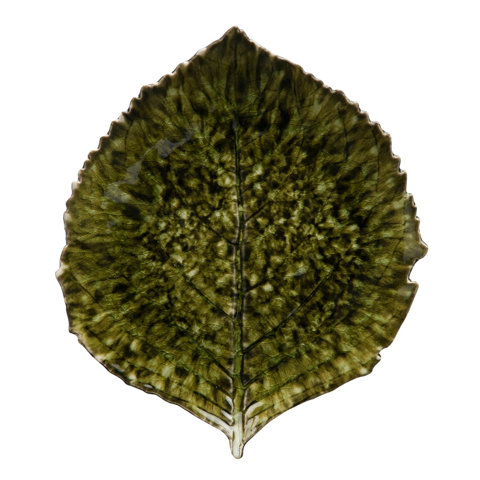 Officially Imported Costa Nova Riviera FORETS Leaf Microwave and Dishwasher Hydrangea VEP221FO Plate, Shape, Medium, Approx. 22cm, Safe, Design,
Officially Imported Costa Nova Riviera FORETS Leaf Microwave and Dishwasher Hydrangea VEP221FO Plate, Shape, Medium, Approx. 22cm, Safe, Design,