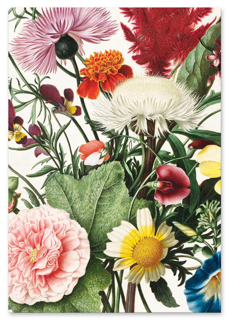 Plakat kwiaty polne dekoracje na ścianę 30x40 cm
Plakat kwiaty polne dekoracje na ścianę 30x40 cm