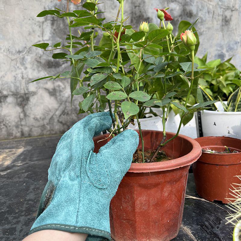 Перчатки сварочные из цельной коровьей кожи на липучке, термостойкие, износостойкие, для строительства
Перчатки сварочные из цельной коровьей кожи на липучке, термостойкие, износостойкие, для строительства