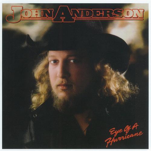 LP Record JOHN ANDERSON - Eye Of A Hurricane 9250991 WARNER BROS. 1984 US Country Used
LP Record JOHN ANDERSON - Eye Of A Hurricane 9250991 WARNER BROS. 1984 US Country Used