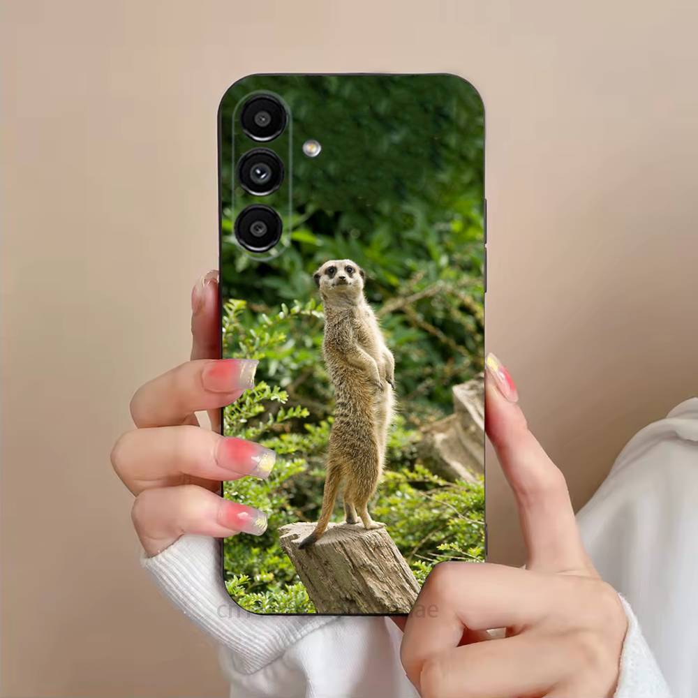 Cute Baby Meerkat Phone Case For Samsung S25,24,23,22,21,S20,Ultra,Plus,FE Black Soft Cover SamsungS225G
Cute Baby Meerkat Phone Case For Samsung S25,24,23,22,21,S20,Ultra,Plus,FE Black Soft Cover SamsungS225G