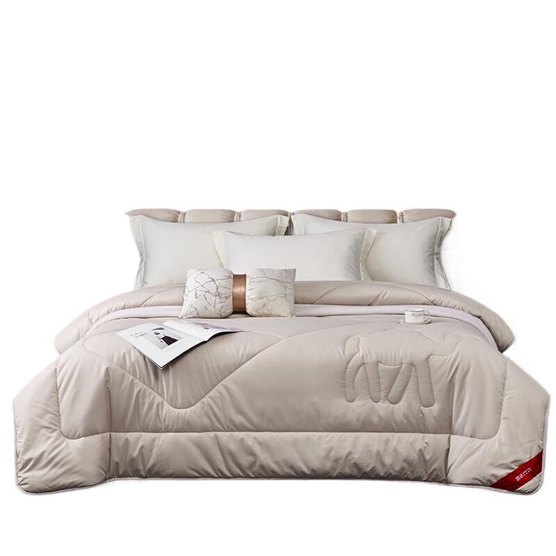 Mendale Zhenli Meilier All-Season Duo Quilt
Mendale Zhenli Meilier All-Season Duo Quilt