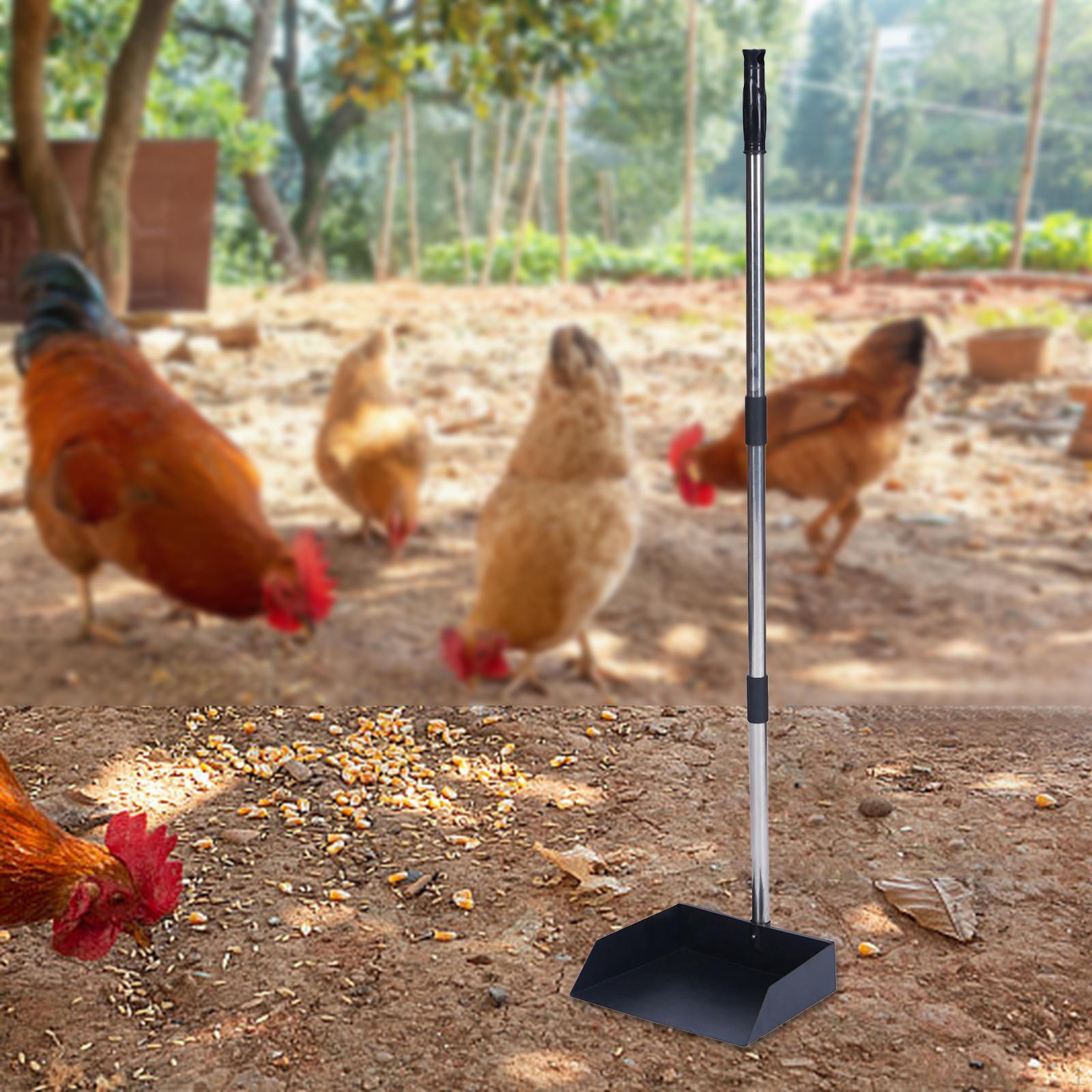 Куриный совок для помета Сверхпрочный Многофункциональный Съемный Портативный Длинная ручка Чистка
Куриный совок для помета Сверхпрочный Многофункциональный Съемный Портативный Длинная ручка Чистка