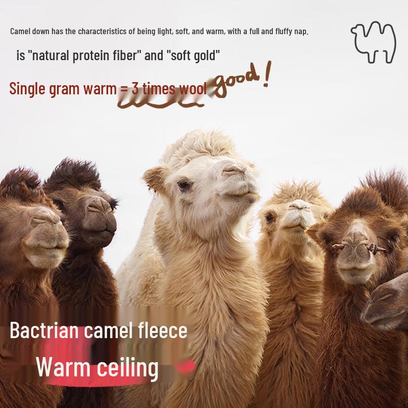 Girls Autumn/Winter Thickened Fleece-Lined Thermal Leggings with Camel Down 170
Girls Autumn/Winter Thickened Fleece-Lined Thermal Leggings with Camel Down 170