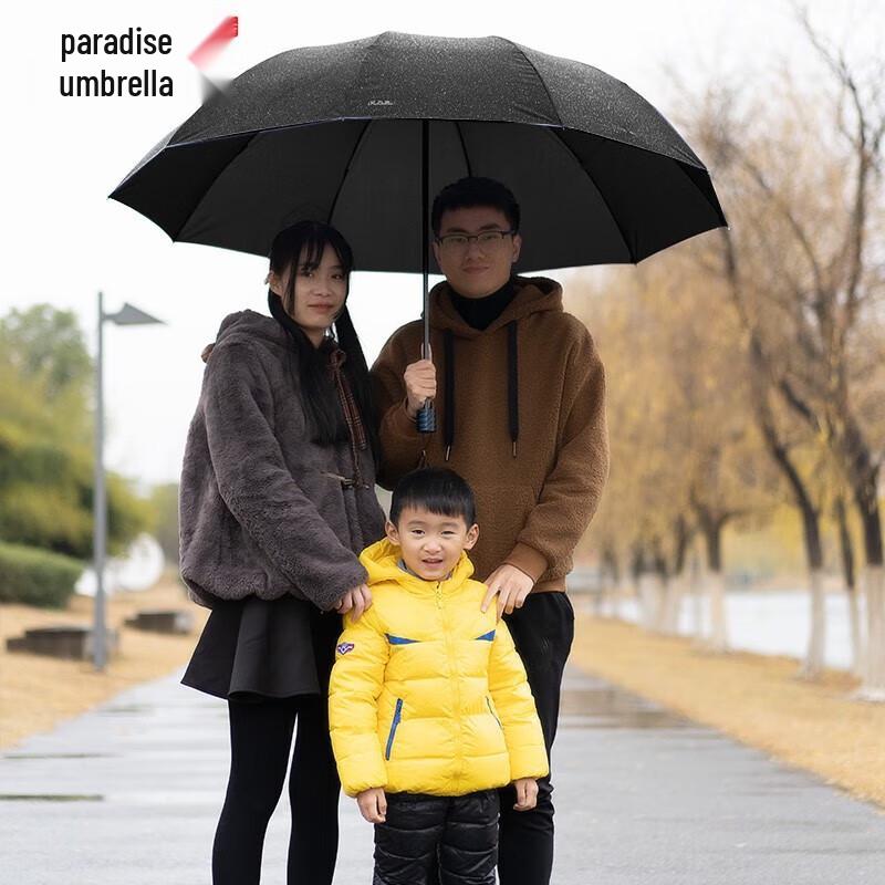 Paradise Unisex 10-Rib Reinforced Tri-Fold Umbrella
Paradise Unisex 10-Rib Reinforced Tri-Fold Umbrella