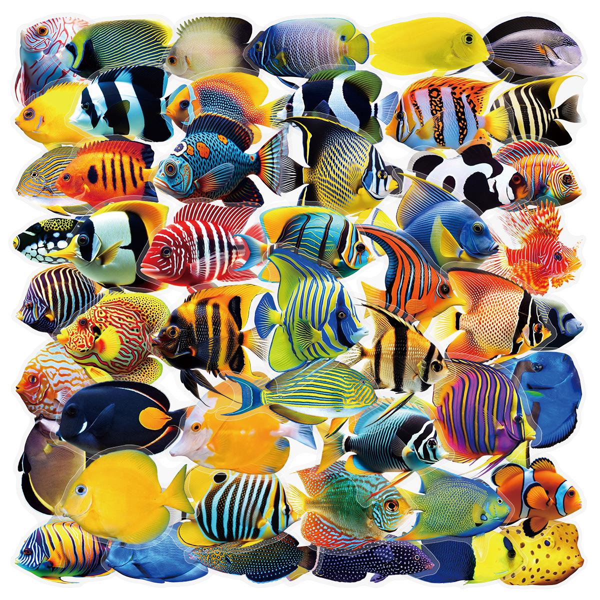 50/100 Pcs PET Transparent Marine Fish Clownfish Stickers Thick Waterproof for Phone Case Scrapbook Suitcase Cup Aquarium Decals
50/100 Pcs PET Transparent Marine Fish Clownfish Stickers Thick Waterproof for Phone Case Scrapbook Suitcase Cup Aquarium Decals