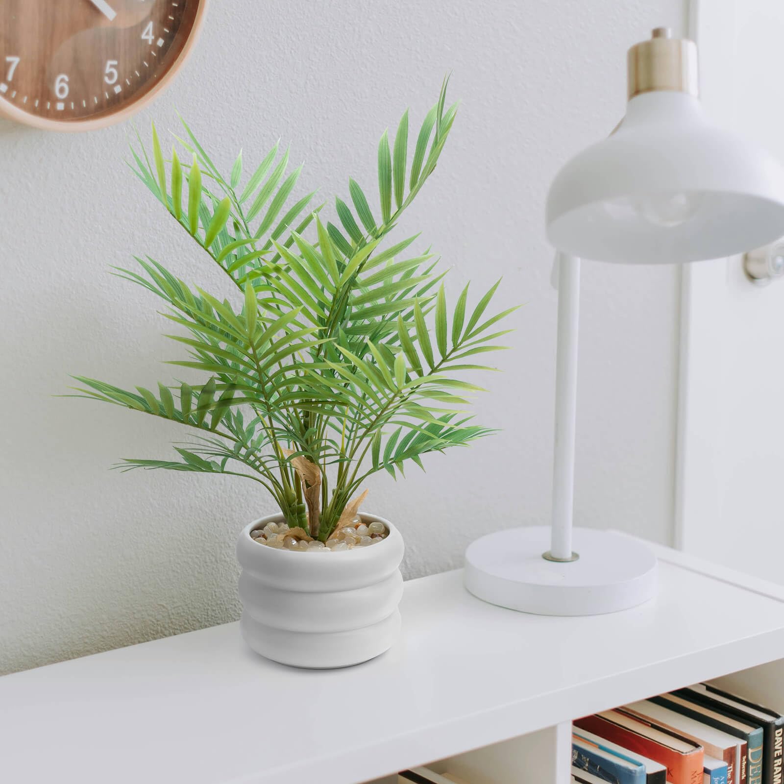 WillingYou Fake Green Tabletop Mini Artificial Fake Potted Plant Tropical Palm Tree Height inches with Pot Stylish Interior Goods No Care Required No зелёный
WillingYou Fake Green Tabletop Mini Artificial Fake Potted Plant Tropical Palm Tree Height inches with Pot Stylish Interior Goods No Care Required No зелёный