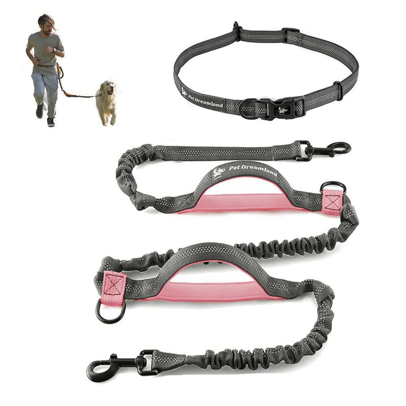 Classic Retractable Hands Free Dog Leash For Running Double Handles Elastic Cord Reflective Large Dog Leash Pet Supplies
Classic Retractable Hands Free Dog Leash For Running Double Handles Elastic Cord Reflective Large Dog Leash Pet Supplies