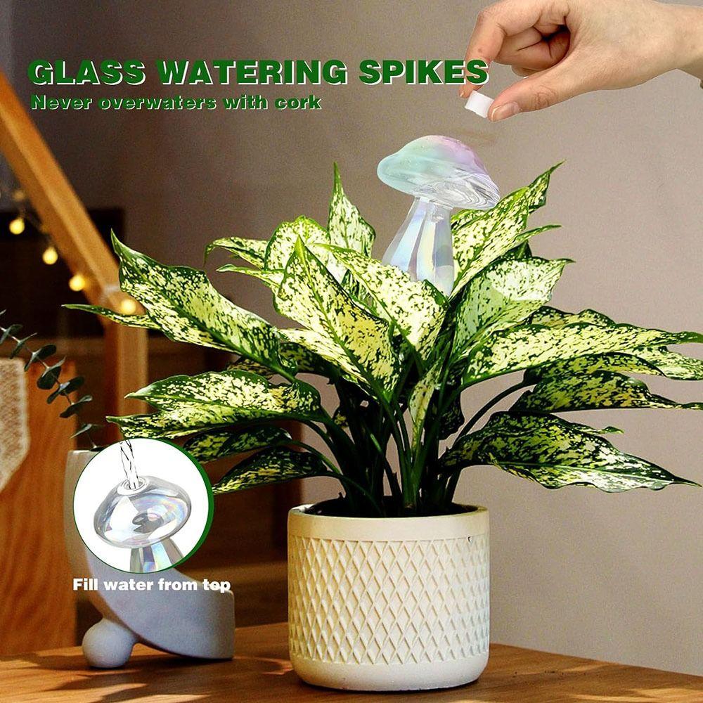 Garden Supplies Globe Planter Insert Clear Automatic Watering Bulbs Plant Watering Globes
Garden Supplies Globe Planter Insert Clear Automatic Watering Bulbs Plant Watering Globes