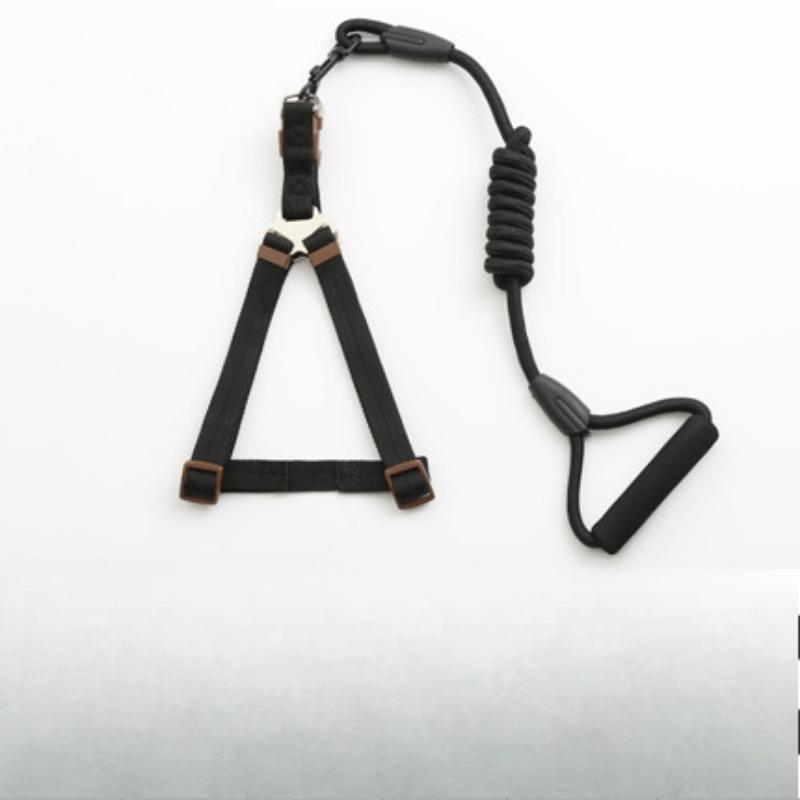 Dog Foam Bra Strap Foam Handle Pet Leash Walking Dog Leash Anti Lost Pet Supplies XS(0.6*120cm)
Dog Foam Bra Strap Foam Handle Pet Leash Walking Dog Leash Anti Lost Pet Supplies XS(0.6*120cm)