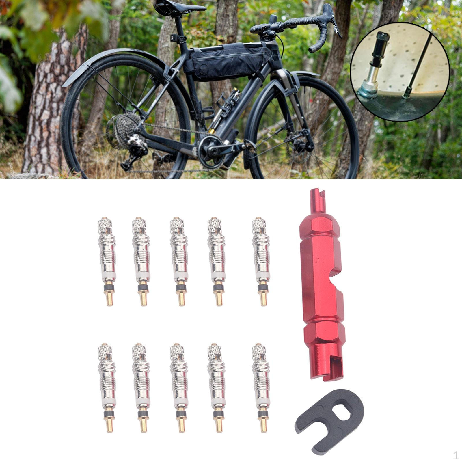 Набор инструментов для снятия сердечников клапанов велосипеда, 10 шт., латунные сердечники, профессиональные, прочные красный