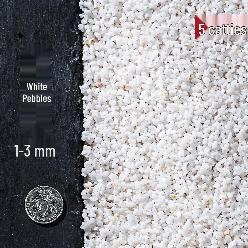 Stream Stone Fish Tank Sand: 5 Jin Aquarium Landscaping and Paving Stones with Ornaments
Stream Stone Fish Tank Sand: 5 Jin Aquarium Landscaping and Paving Stones with Ornaments
