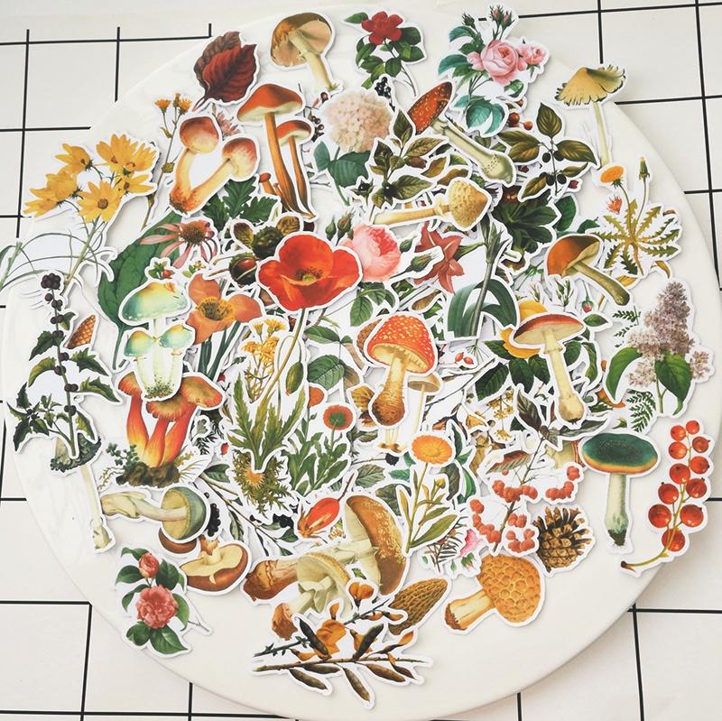 90Pcs/Pack Plants Mushroom Sticker DIY Craft Scrapbooking Album Journal Happy Planner Decorative Stickers армия зеленый
90Pcs/Pack Plants Mushroom Sticker DIY Craft Scrapbooking Album Journal Happy Planner Decorative Stickers армия зеленый
