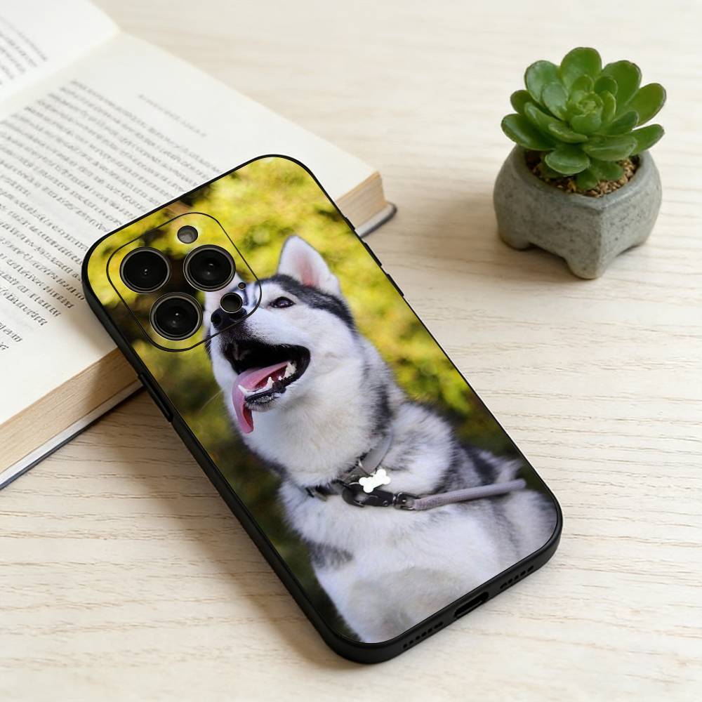 Siberian Husky Phone Case For iPhone 17, 16,15,14,13,12,11 Plus,Pro Max, Others Soft Black Cover iPhone12PROMAX
Siberian Husky Phone Case For iPhone 17, 16,15,14,13,12,11 Plus,Pro Max, Others Soft Black Cover iPhone12PROMAX