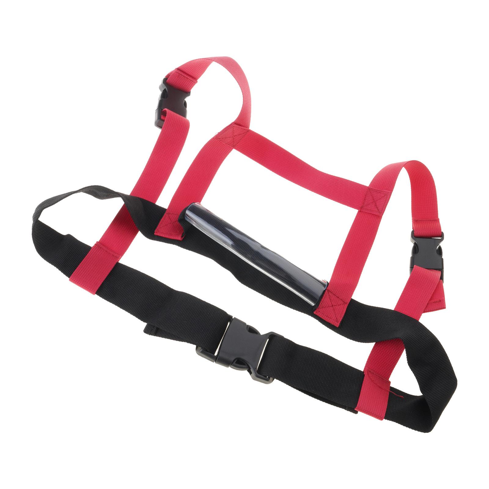 Baby Walking Belt and Toddler Safety Harness Belt Safety Cycling Leash for Toddlers Boy Girl Children Cycling Harness 1
Baby Walking Belt and Toddler Safety Harness Belt Safety Cycling Leash for Toddlers Boy Girl Children Cycling Harness 1