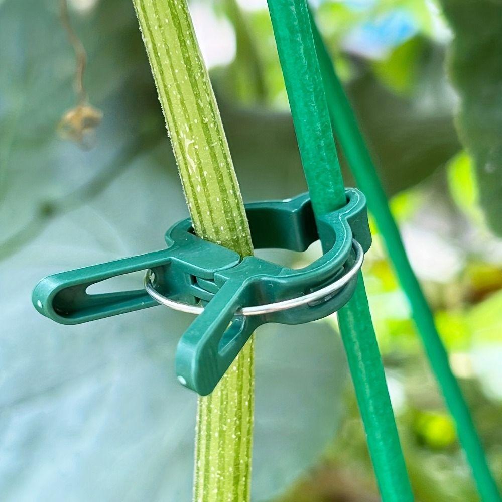10pcs Reusable Garden Plant Clip Plastic Greenhouse Bracket Supporting Vines Grow Upright Climbing L
10pcs Reusable Garden Plant Clip Plastic Greenhouse Bracket Supporting Vines Grow Upright Climbing L
