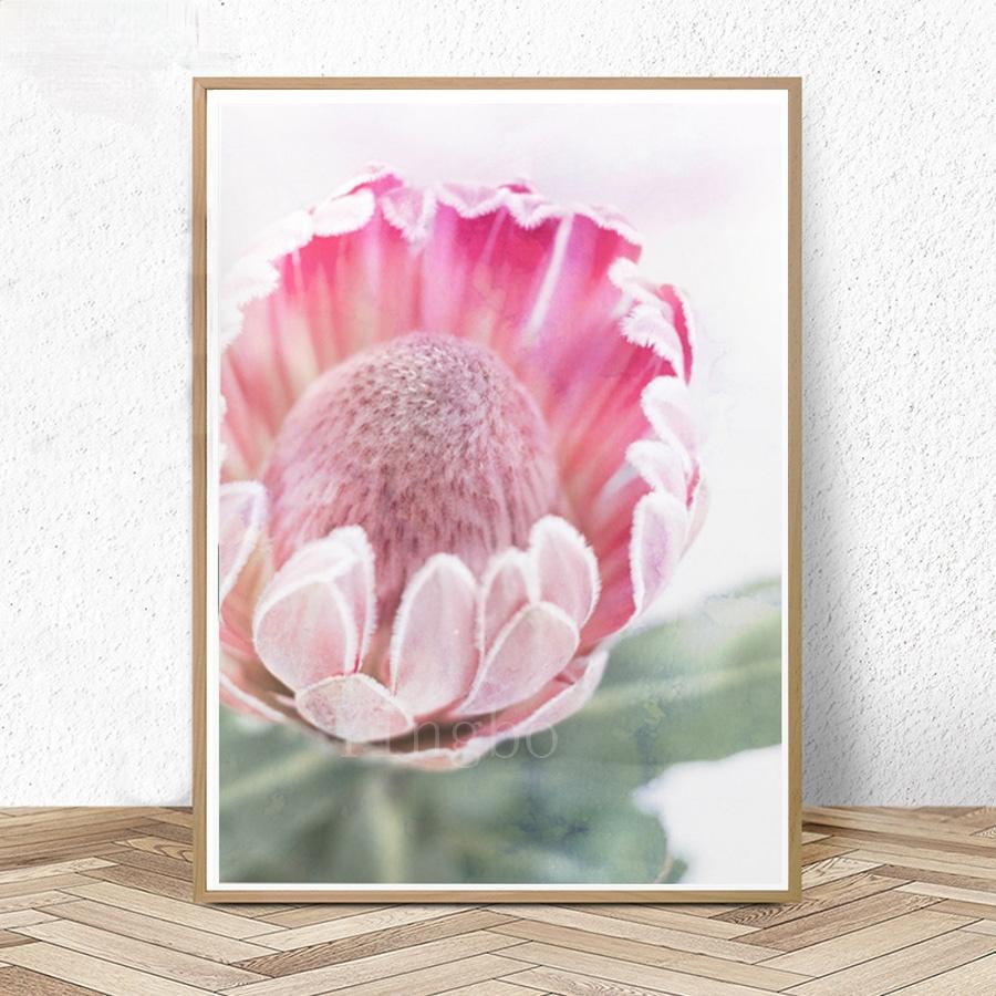 DIY 5D Алмазная живопись Австралийский Protea BotanicalFull площади Круглый Алмазная вышивка 5D Крест стежка Украшения Главная
DIY 5D Алмазная живопись Австралийский Protea BotanicalFull площади Круглый Алмазная вышивка 5D Крест стежка Украшения Главная