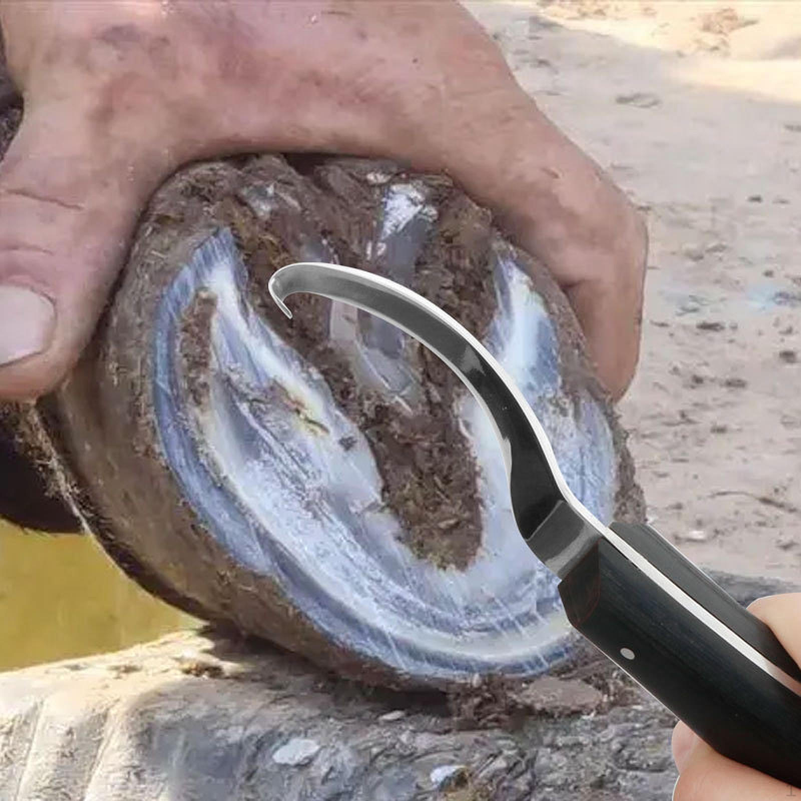 Триммер для копыт Farrier, удобный для переноски, прочный, с двумя лезвиями для лошадей, коров, крупного рогатого скота
Триммер для копыт Farrier, удобный для переноски, прочный, с двумя лезвиями для лошадей, коров, крупного рогатого скота