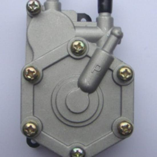 Polaris ATV Beach Buggy Fuel Pump
Polaris ATV Beach Buggy Fuel Pump