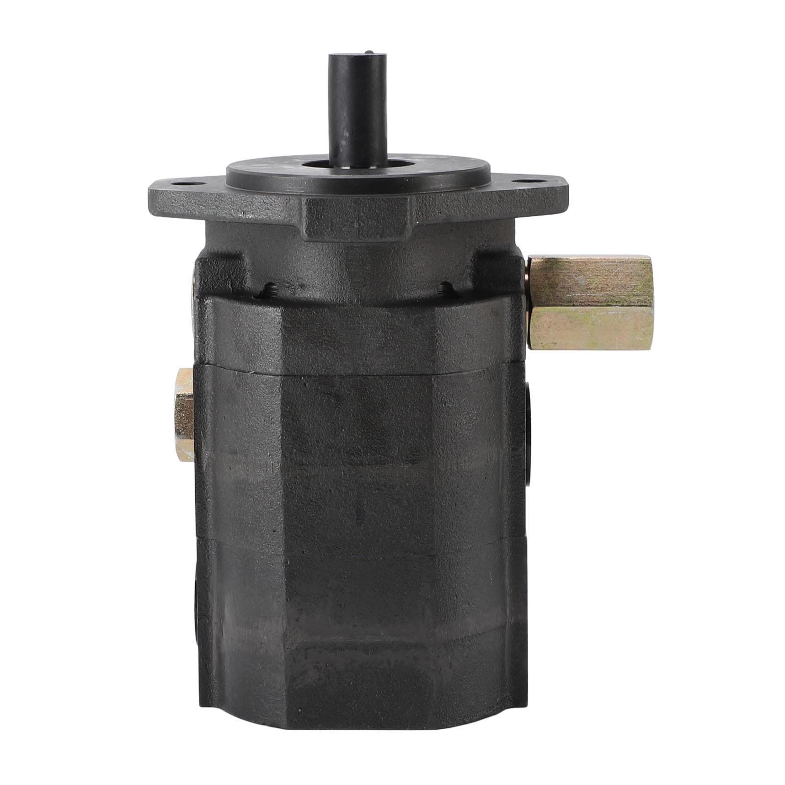 Log Splitter Pump Cast Iron 28GPM Horizontal Wood Splitter Pump for Gardening Agriculture
Log Splitter Pump Cast Iron 28GPM Horizontal Wood Splitter Pump for Gardening Agriculture