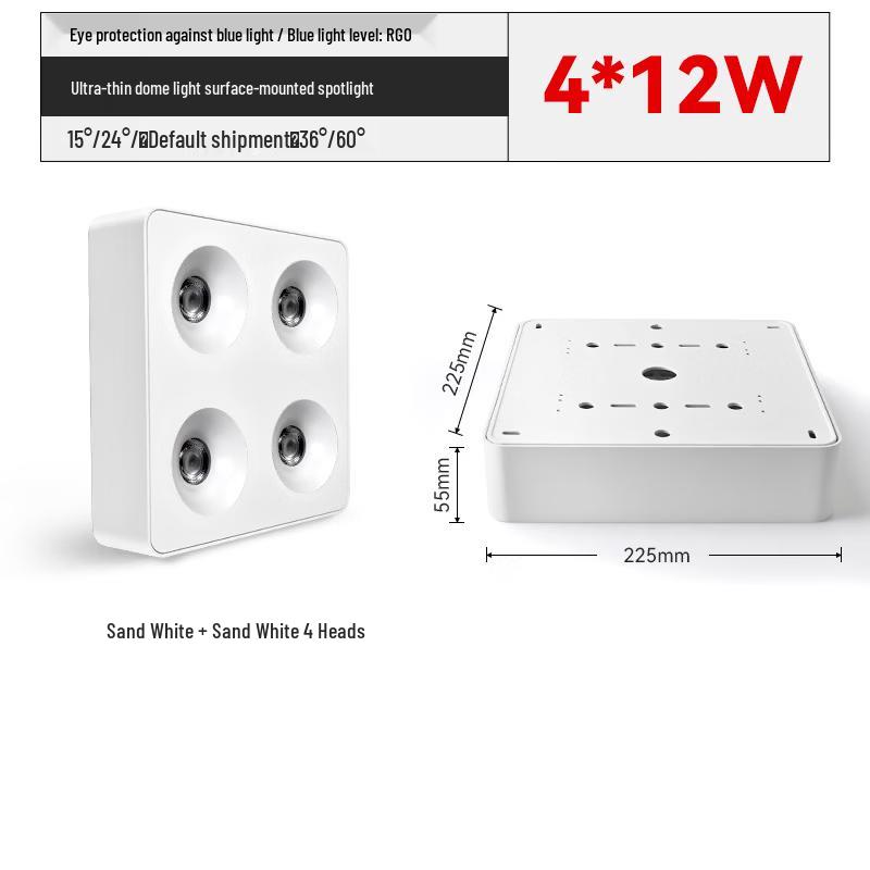 oeny 4-Head Surface Mounted LED Downlight
oeny 4-Head Surface Mounted LED Downlight