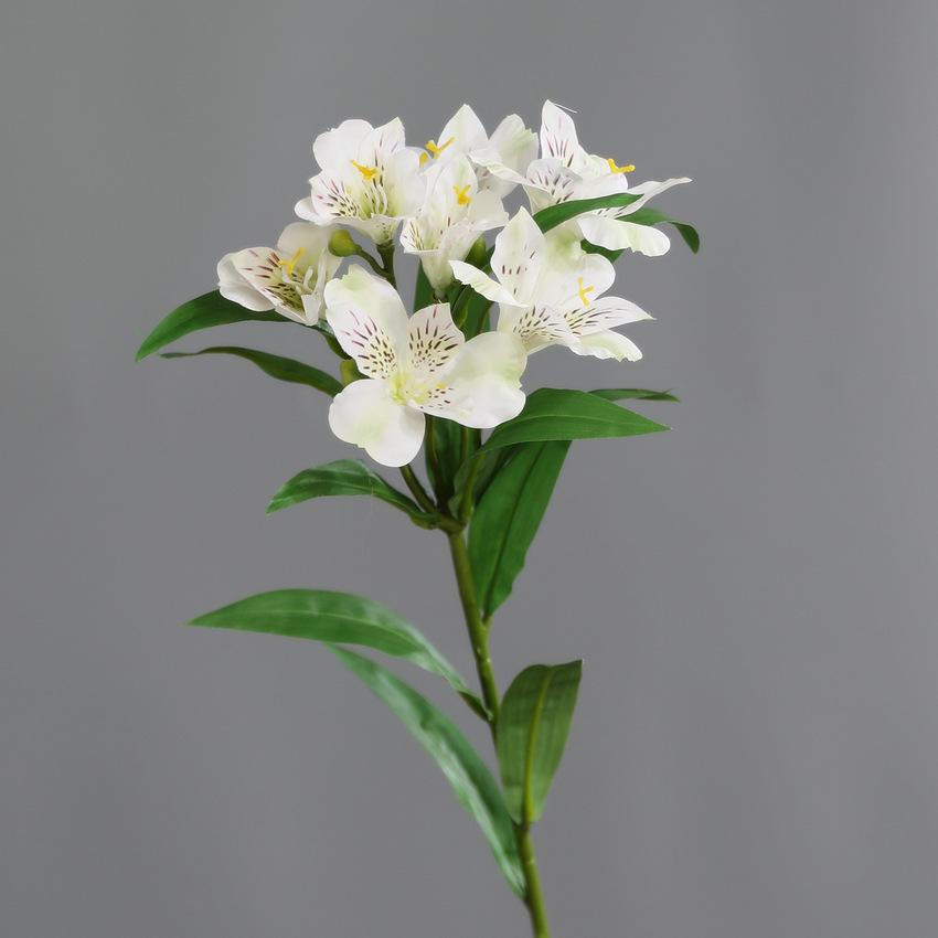 2pcs 3D Printed White Narcissus Lily Simulation Flowers Living Room Decoration Artificial 78cm Rhododendron Branch Fake Flower білий
2pcs 3D Printed White Narcissus Lily Simulation Flowers Living Room Decoration Artificial 78cm Rhododendron Branch Fake Flower білий