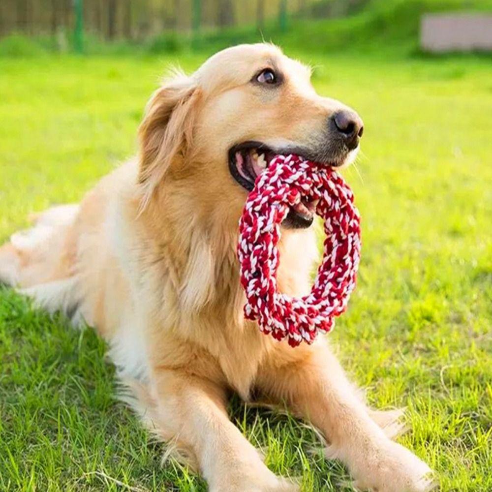 19cm Dog Chew Rope Toy Colorful Puppy Grinding Teeth Toys Round Rope Pet Chew Toys Self Happy красный
19cm Dog Chew Rope Toy Colorful Puppy Grinding Teeth Toys Round Rope Pet Chew Toys Self Happy красный