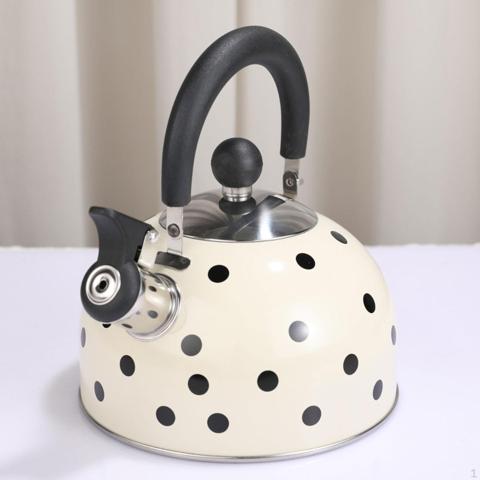 Water Kettle Multifunctional Leakproof White for Party Household Restaurant
Water Kettle Multifunctional Leakproof White for Party Household Restaurant