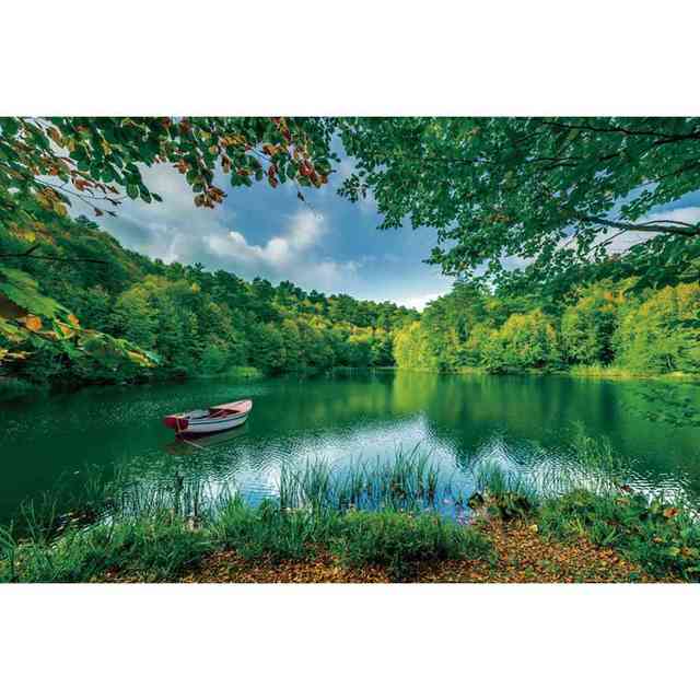 Зелена Весна Дерево Річка Фон Натуральна Квітка Трава Пейзаж Фотостудія Фон Святковий Декор Реквізит для фотографії 230X150cm
Зелена Весна Дерево Річка Фон Натуральна Квітка Трава Пейзаж Фотостудія Фон Святковий Декор Реквізит для фотографії 230X150cm