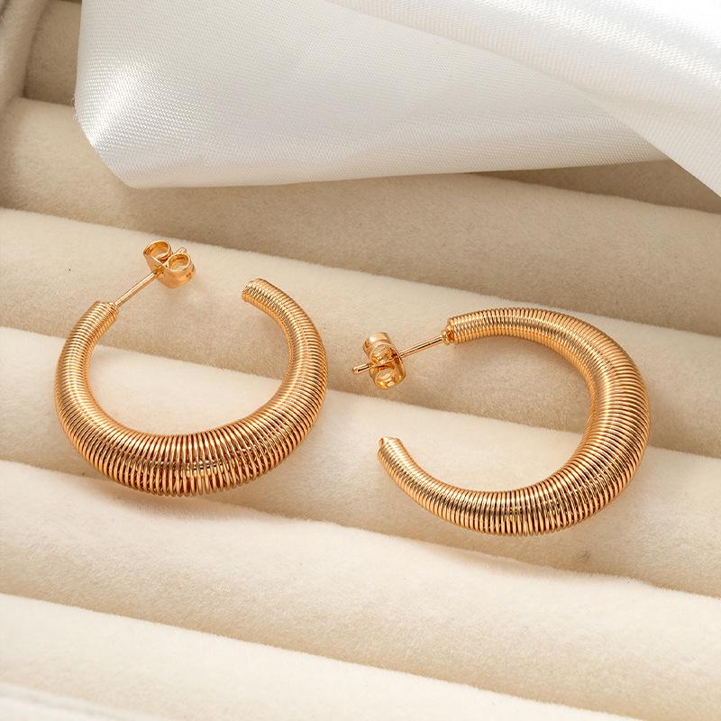 Retro 18K Gold-Plated Titanium Steel Hoop Earrings - Women s European and American Fashion
Retro 18K Gold-Plated Titanium Steel Hoop Earrings - Women s European and American Fashion
