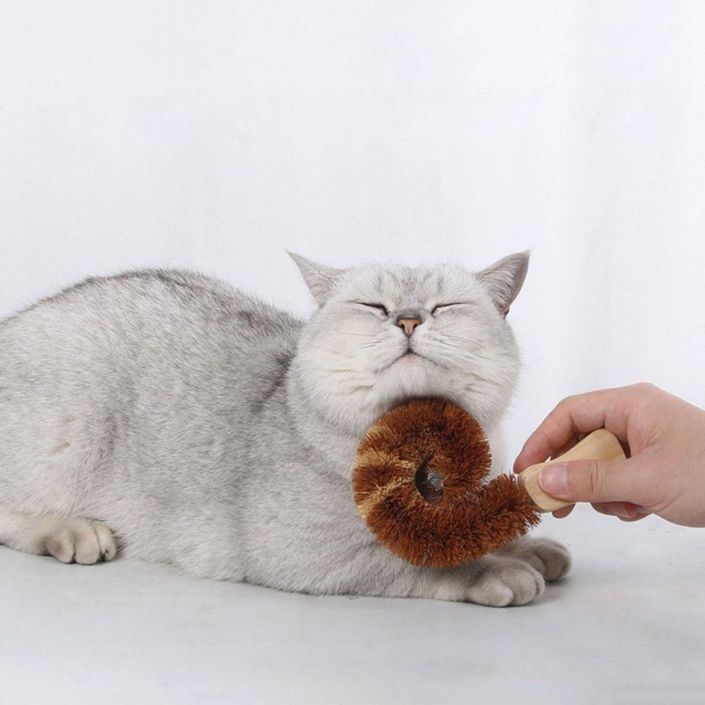 Wooden Handle Pet Interactive Brush Wear Resistant Cat Massage Comb Cat Tail Comb for Pet Shops Cat Tail Comb
Wooden Handle Pet Interactive Brush Wear Resistant Cat Massage Comb Cat Tail Comb for Pet Shops Cat Tail Comb