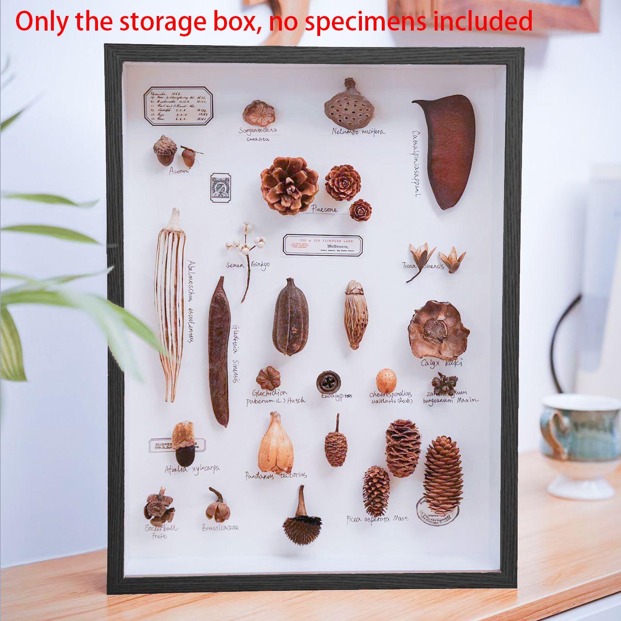 Plant Specimen Photo Frame Hollow Three-Dimensional Diy Handmade Butterfly Specimen Animal Leaf Stone Insect Specimen Collection inside 10.1x15.2cm червоний
Plant Specimen Photo Frame Hollow Three-Dimensional Diy Handmade Butterfly Specimen Animal Leaf Stone Insect Specimen Collection inside 10.1x15.2cm червоний